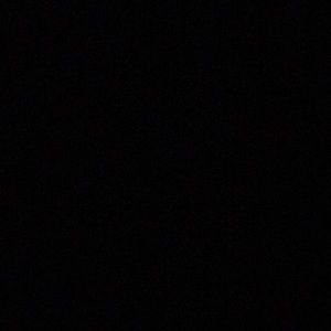 Meet your Posher, Hayden